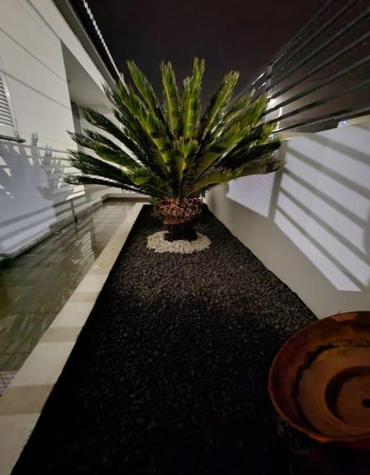 Vila Da Pesca House Rabo de Peixe Luaran gambar